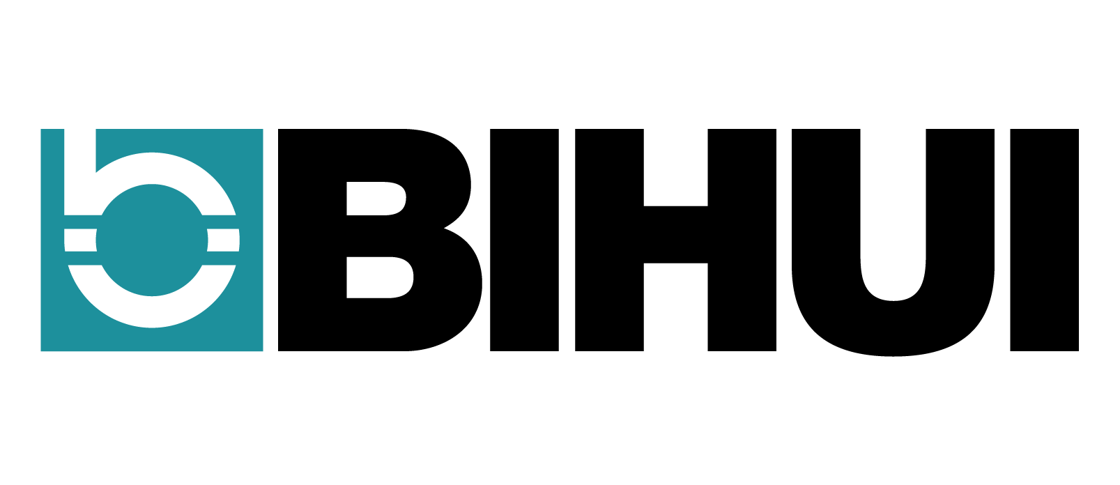 logo-BIHUI-czarny-napis